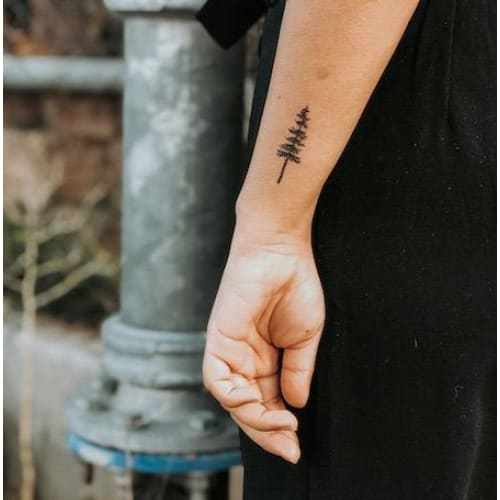 Pine Tree Silhouette Temporary Tattoo